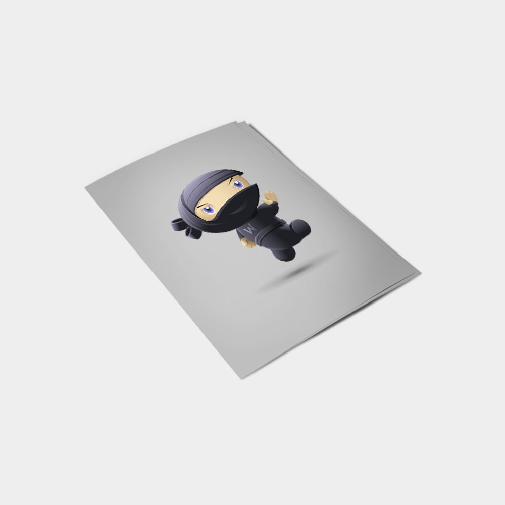 Flying Ninja simple-2 - Image 2